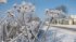 В Украине ударят 20-градусные морозы: синоптики рассказали, где будет арктический холод на Старый Новый год