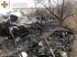 В Одесской области произошел пожар из-за палатки из травы, погиб человек