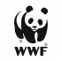 "     ":      WWF