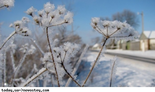 В Украине ударят 20-градусные морозы: синоптики рассказали, где будет арктический холод на Старый Новый год 