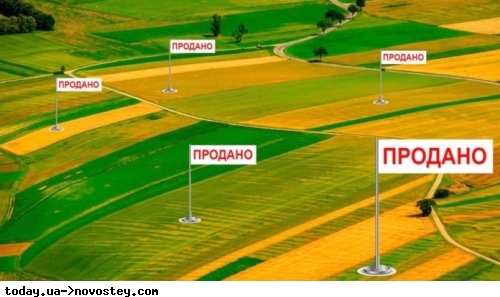 Украинцы начали активно продавать свои огороды, опасаясь налога на землю 