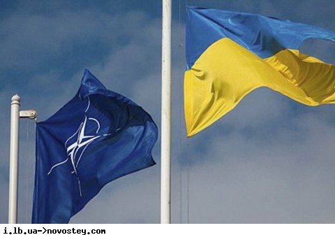НАТО пригласило Украину присоединиться к формированию Стратегической концепции Альянса до 2030 года