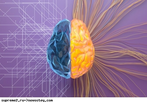 META представила универсальную нейросеть, самостоятельно распознающую фото, аудио и видео: новая веха в истории ИИ