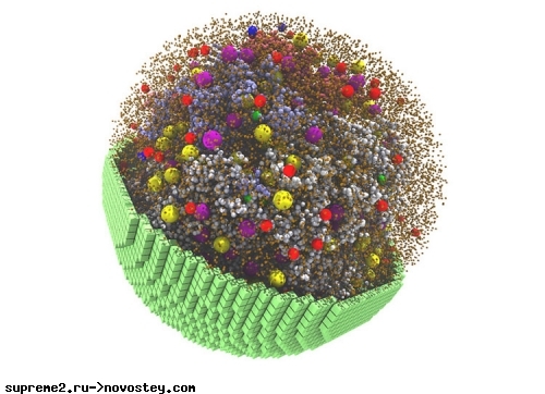 Видеокарты NVIDIA позволили моделировать поведение живой клетки из миллиардов атомов