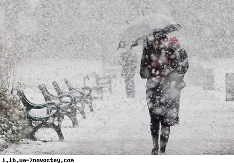 Украине на понедельник прогнозируют метели, днем 3-8° мороза