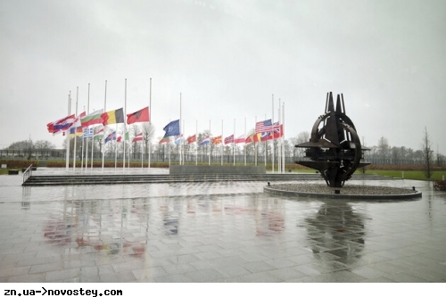 НАТО приняла заявки Финляндии и Швеции на членство – видео