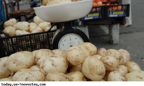 В этом году цены на молодой картофель побили рекордные показатели