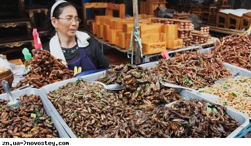 Употребление насекомых в пищу может помочь справиться с изменениями климата: как это возможно