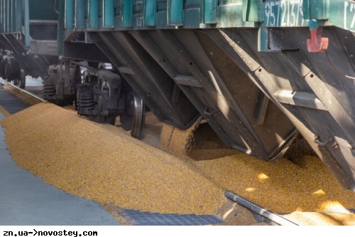 Украина стремительно увеличивает объемы экспорта сельхозпродукции через западные сухопутные границы