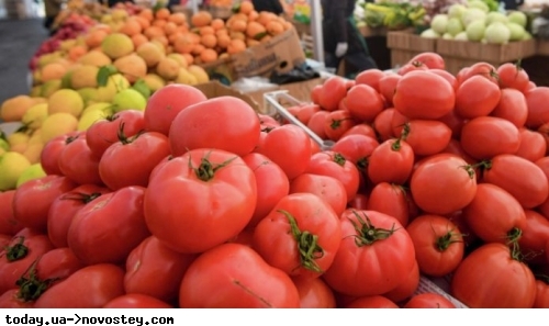 В Украине обвалились цены на помидоры из-за импорта на фоне войны 
