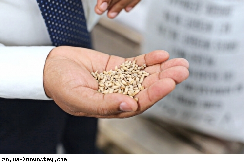 Допомога у вивезенні українського зерна стала для Румунії логістичним викликом епічних масштабів