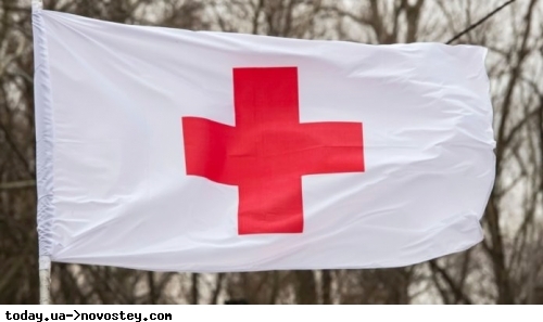 Червоний Хрест виплатить грошову допомогу українцям, які не мають статусу ВПО 