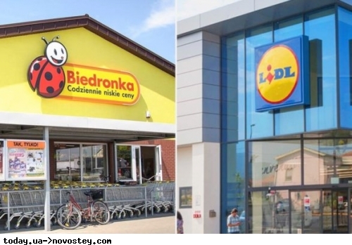ֳ    :         Auchan, Lidl  Biedronka 