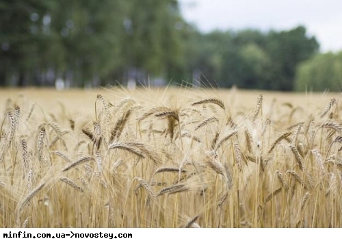 В июне Украина увеличила экспорт агропродукции на 30% 