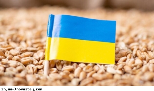 Кабмін скасував ліцензії на експорт пшениці