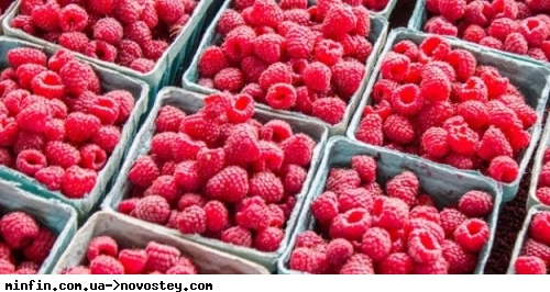 Стало известно, как за год изменились цены на сезонные ягоды 