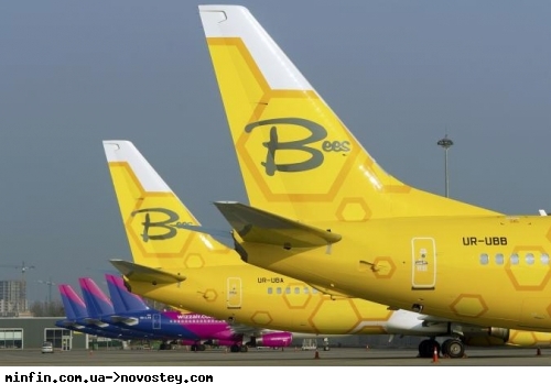      Bees Airline 