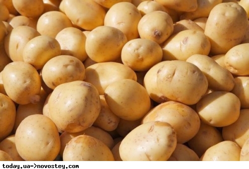 В Україні впали ціни на картоплю: як змінилася вартість овоча у супермаркетах 