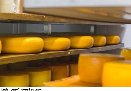 В Україні подорожчали молочні продукти: як змінилися ціни на молоко, сир та вершкове масло у супермаркетах 