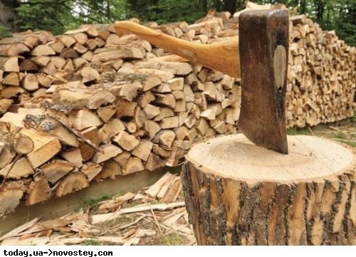 Українці готуються зимувати на дачах: ціни на дрова ростуть, як бамбуковий ліс