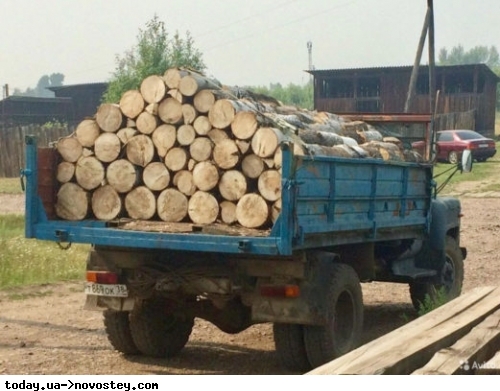 Українці готуються зимувати на дачах: ціни на дрова ростуть, як бамбуковий ліс 