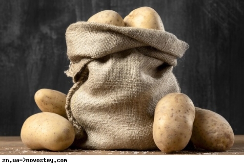 Ціни на продукти: чи подешевшає картопля в Україні