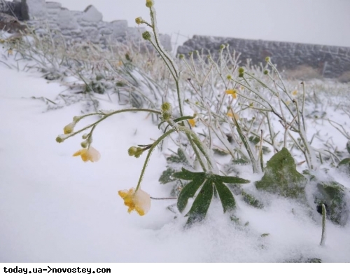 Коли зима зовсім не на радість: в Україні випав перший сніг (ФОТО)