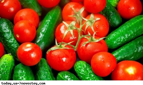 В Україні подорожчали помідори та огірки: супермаркети показали нові ціни 