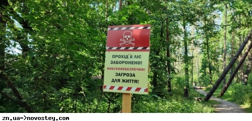 Двоє грибників підірвалися на мінах у Харківській області