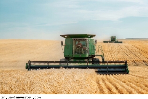 Через війну на Харківщині зібрали вдвічі менше зернових та зернобобових культур ніж в 2021 році