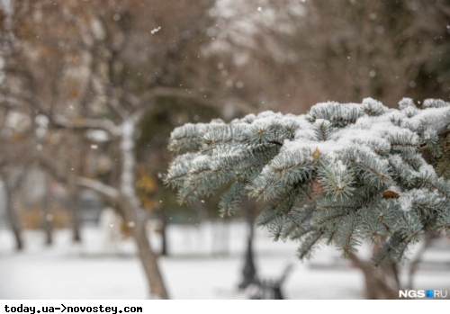 Сніг, ожеледиця та перепади температур: синоптики попередили про несприятливу погоду на найближчі дні 