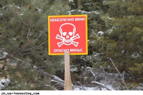 Під час розмінування в Донецькій області загинули троє піротехніків