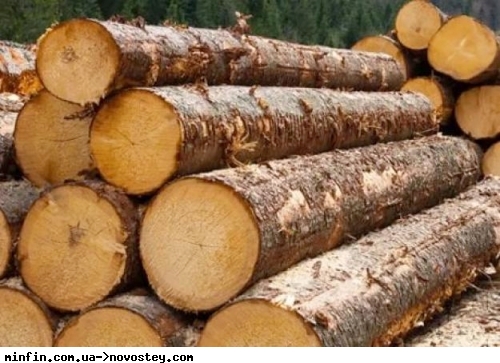 Прозорий продаж лісу: В Україні з'явився новий біржовий індекс 