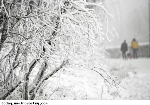 В Україні похолодає до -16 градусів: синоптики розповіли, якою буде погода найближчими днями 