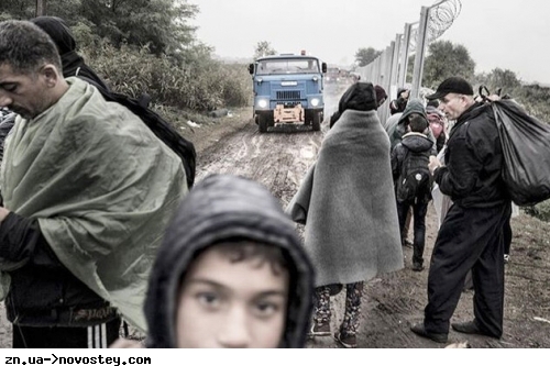 Незаконні мігранти з території Білорусі знову намагаються потрапити до Польщі