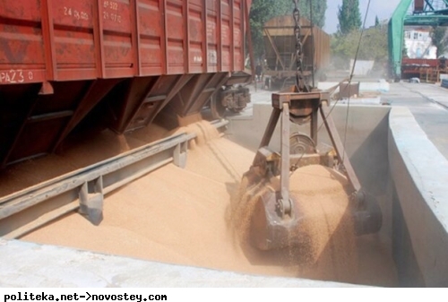 Українські залізничники півроку викрадали зерно під час експорту: деталі гучного розслідування