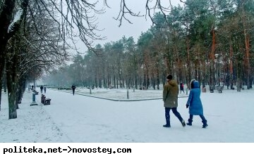 зима погода Люди сніг холод мороз парк