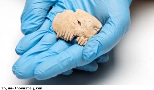 Археологи знайшли у Великій Британії гребінь, зроблений з людського черепа