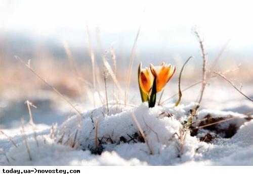 В Україну повернеться зима: синоптики розповіли, коли знову випаде сніг 