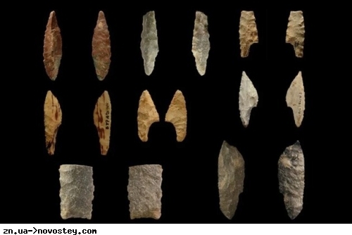 Вчені наші свідчення про використання людьми клею віком 20 тисяч років