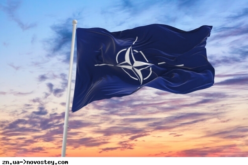 МЗС Естонії: вже недостатньо просто повторювати вже існуючу позицію про те, що Україну вітають в НАТО 