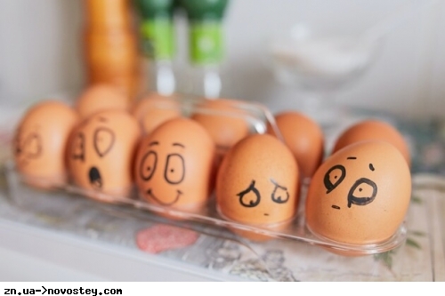 Вимоги до інкубаційних яєць: чергова ідея Кабміну, витягнута із забуття