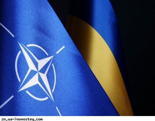 Сенат Чехії виступив за якнайшвидший вступ України до НАТО