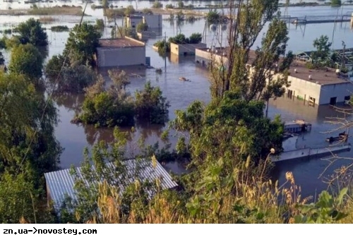 Єдиний осетровий завод в Україні повністю затоплено – Мінагрополітики