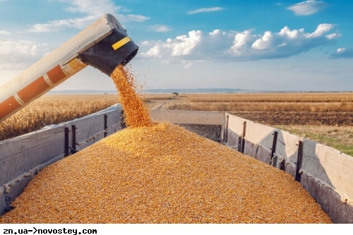«Чорний» експорт зерна з України сягає понад 20% – БЕБ