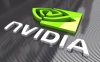    NVIDIA      볺