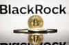 ������-���� BlackRock ����� �������� $6,3 ������� � ������ �� �� ������������ ���