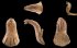 Археологи знайшли артефакт у вигляді кобри віком 4000 років