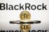 ������-���� BlackRock ����� �������� $6,3 ������� � ������ �� �� ������������ ���