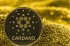 ������� Cardano ������� $6 ��� �� 30 ������